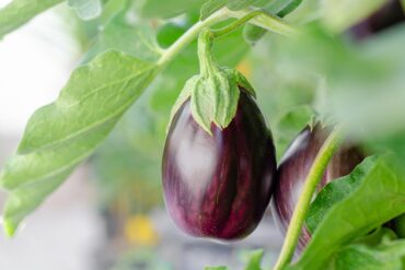 Egy kis útmutató az egészséges életmód motivációdhoz